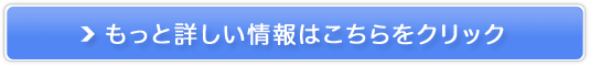 VtB[zCgR~/e̍ݐpPA̔閧\I̔TCg